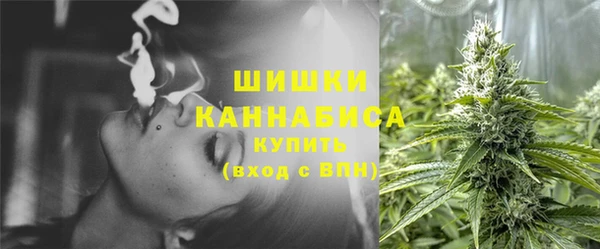 амф Инта