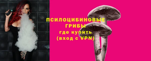 соль ск Иннополис