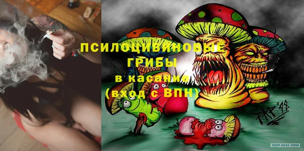 амф Инта