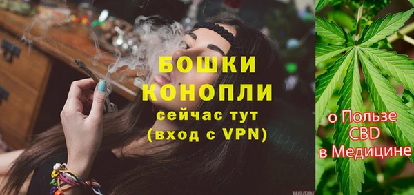 амф Инта