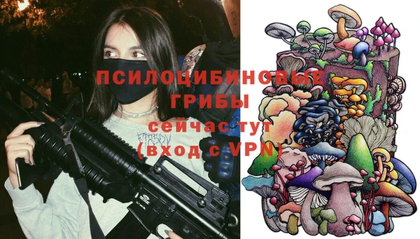 соль ск Иннополис