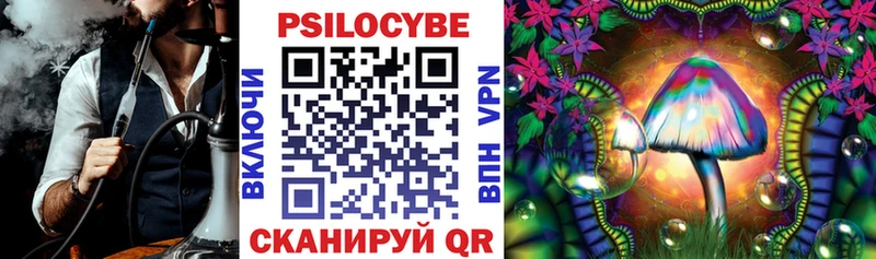 Псилоцибиновые грибы Magic Shrooms  Купить где  Каменск-Шахтинский 